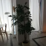 House Penthouse דירה *